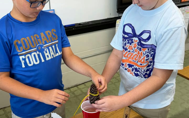 Fourth Graders Explore Measurement and Nature in Mrs. Mandy's Class